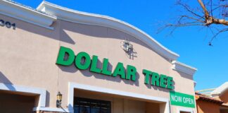 Paniers à 1,25 $ de Dollar Tree : rangement élégant et potentiel de cadeaux