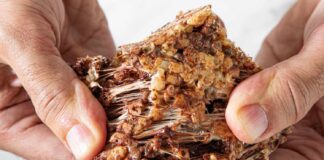 Malted Cocoa Rice Krispies Treats: A Quick, Flavorful Dessert