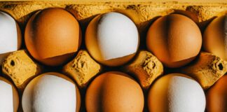 Perché la menopausa significa riconsiderare l’assunzione di proteine