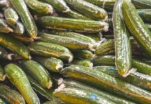 Несподівана Логіка Пластикової Упаковки Огірків