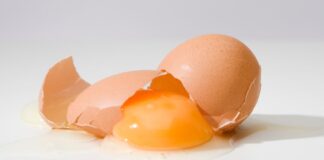 Die Wahrheit über Eier: Wie sich die Ernährung einer Henne auf den Nährwert auswirkt