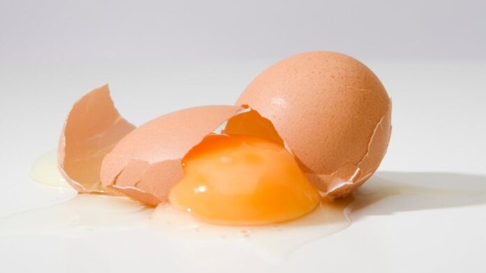 23710fbe-74fc-48ec-b0ad-20099f51a3dd