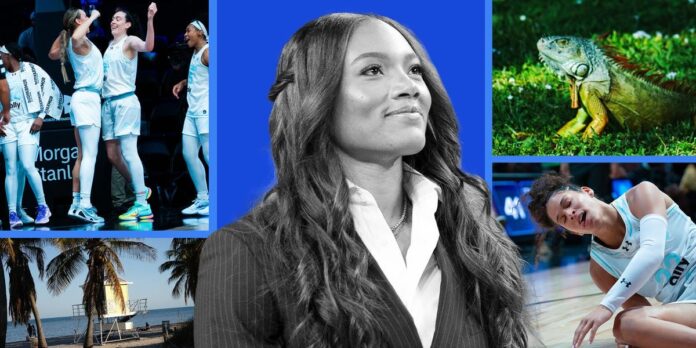 a32cd3ce-3adb-42dd-a54a-28eb800f8d0e