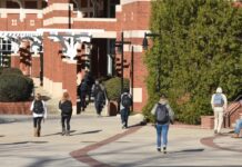 Більше, ніж просто диплом: історії успіху тих, хто обрав шлях поза університетом