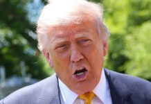 Личные нападки Трампа на журналистов: стратегия отвлечения и доминирования