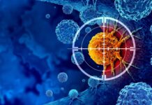 Як CRISPR повертає «видимість» холодним пухлинам простати