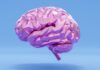 Low-Inflammatory Diets May Lower Dementia Risk Even With High Biomarkers