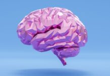 Low-Inflammatory Diets May Lower Dementia Risk Even With High Biomarkers